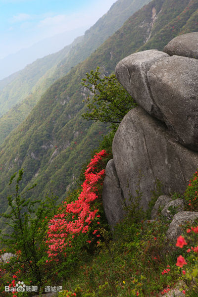 通城黄龙山