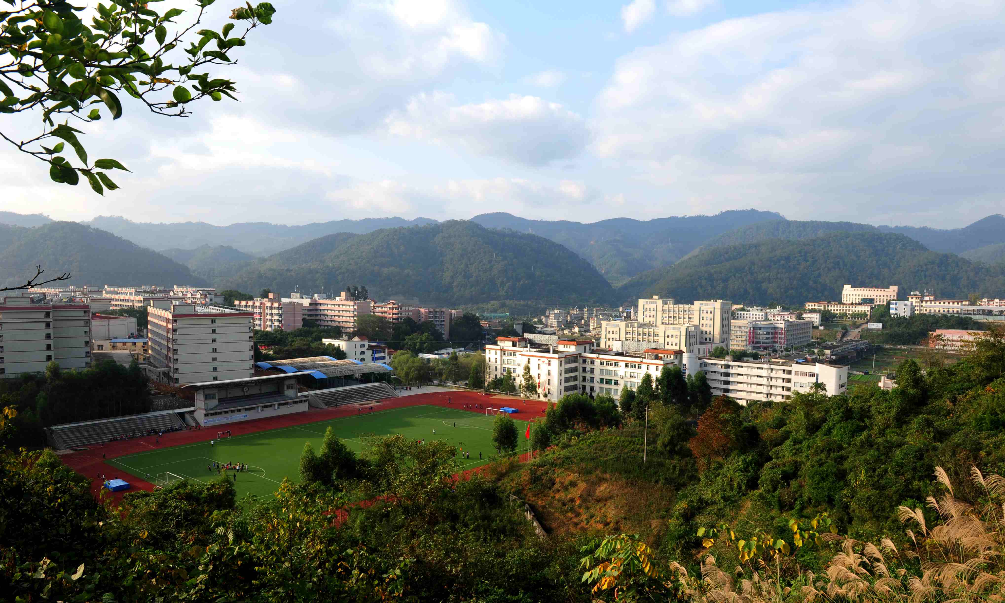  p>三明学院(sanming university)位于海峡西岸 a target="_blank"