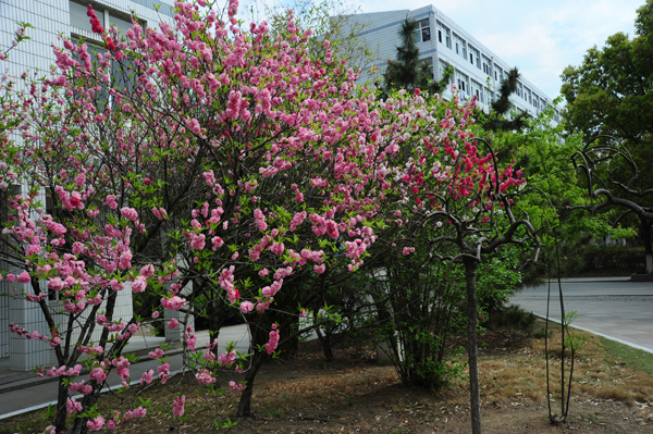 1 middle school),简称钟祥一中,位于湖北省 a target="_blank" href=