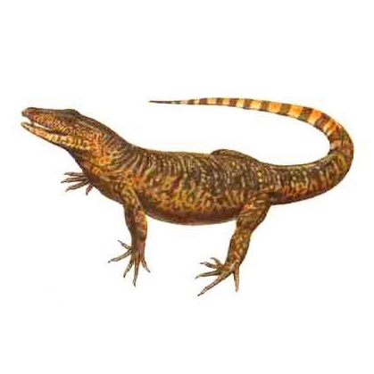 盘龙类不属于恐龙.