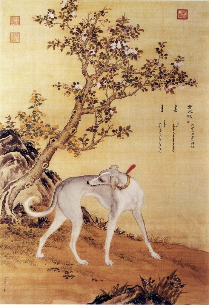 清朝的 宠物狗 在郎世宁笔下什么样 百科ta说