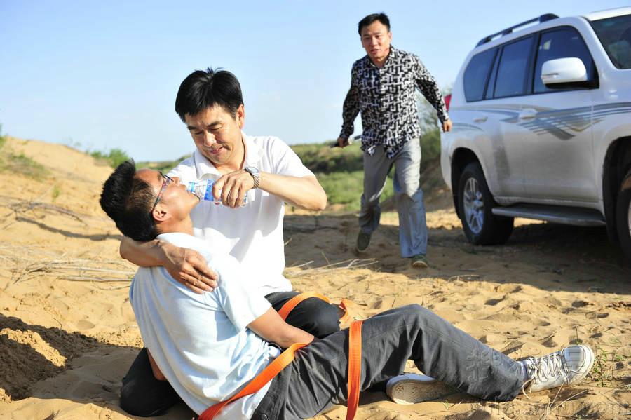 是一部描写北京企业家回乡寻找并开发频临灭绝的治沙树种野樱桃的故事