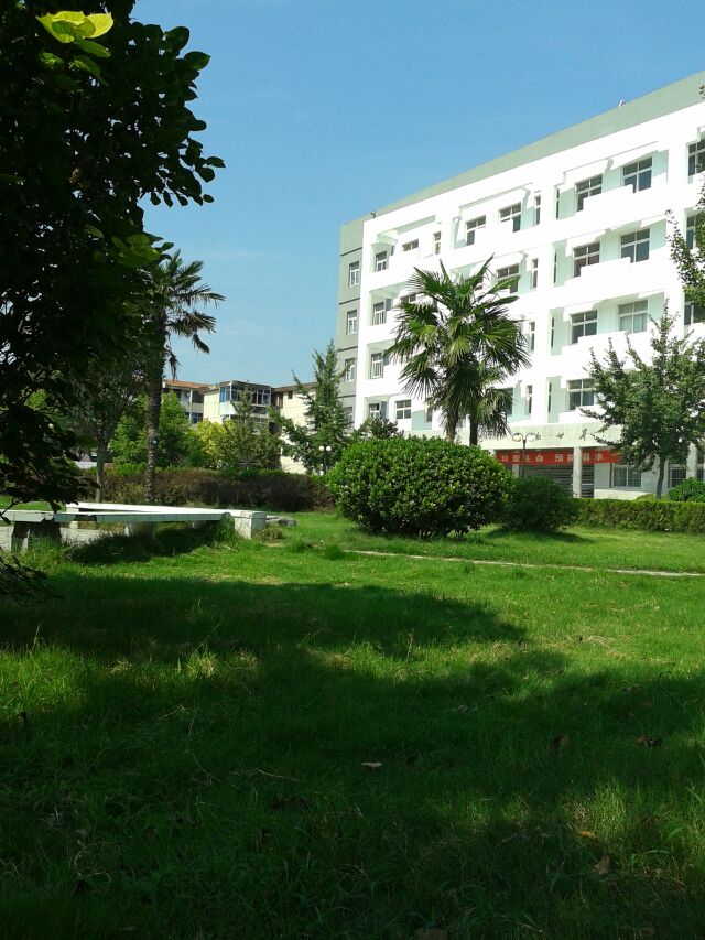 安徽太和中学
