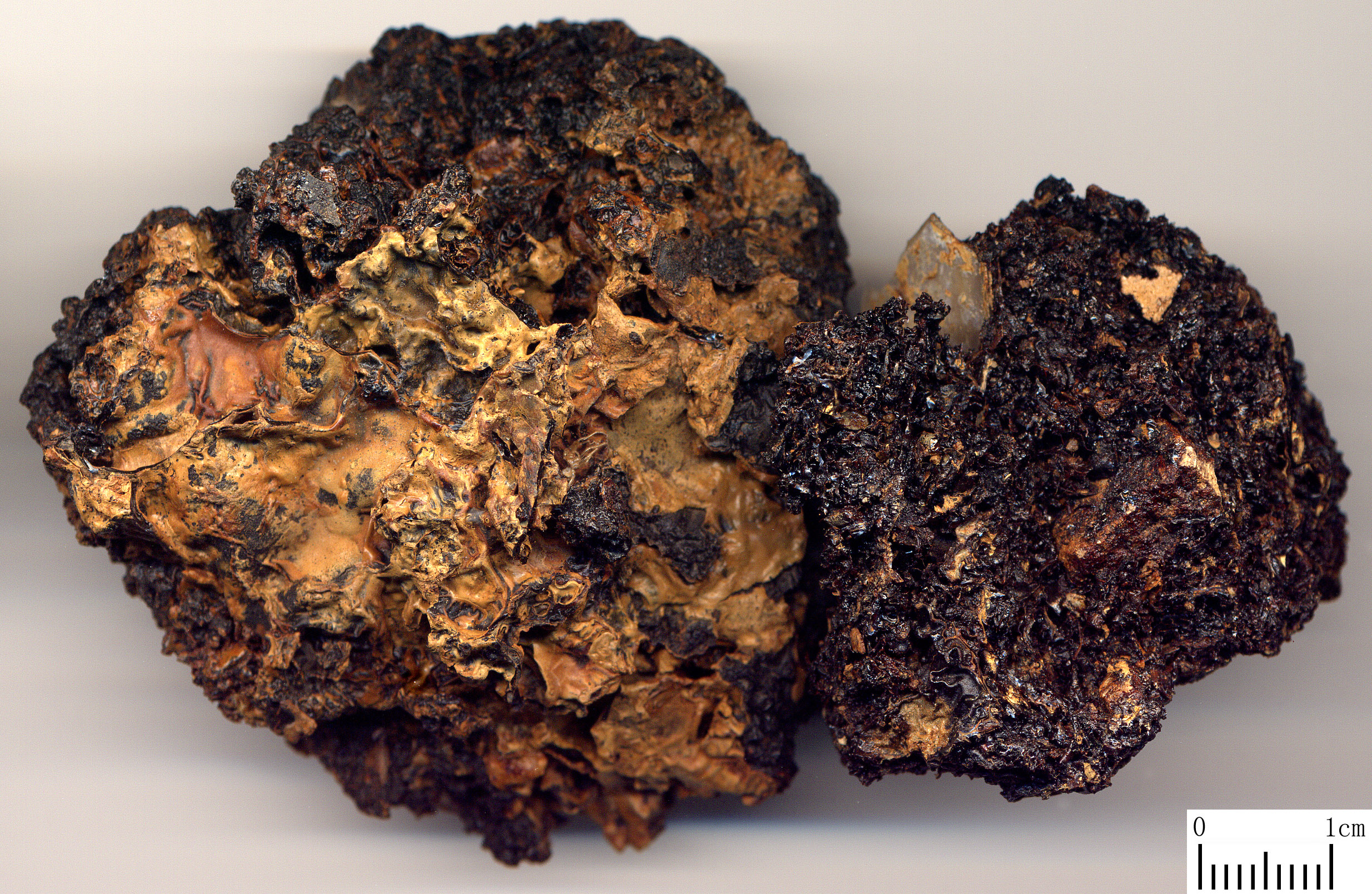  p data-id="ta1scutsecge">干漆是漆树科漆树