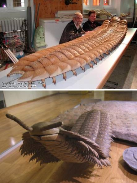  p>石炭纪(carboniferous)约处于 a href="#" data-lemmaid="2172198"