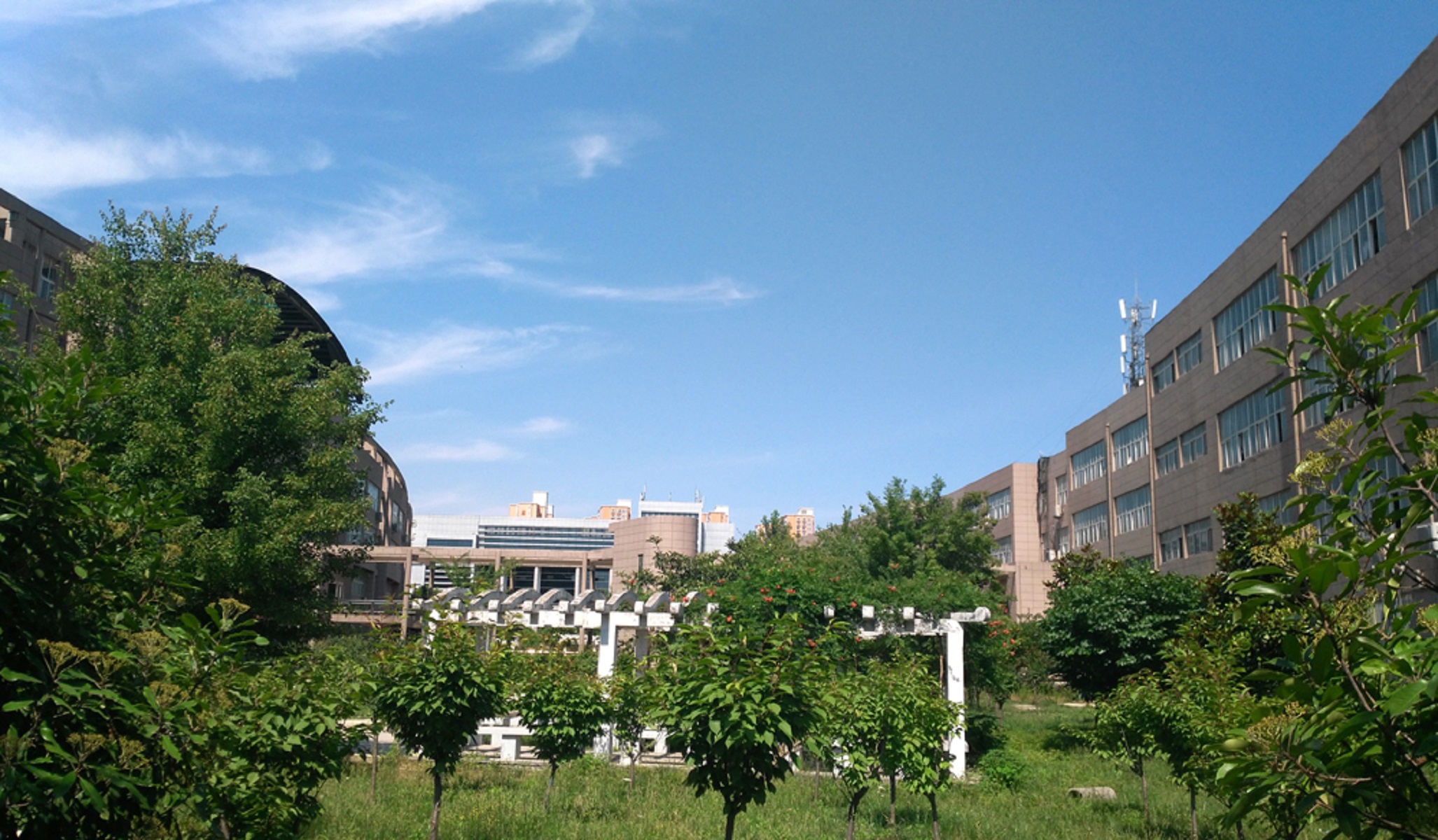 驻马店学院
