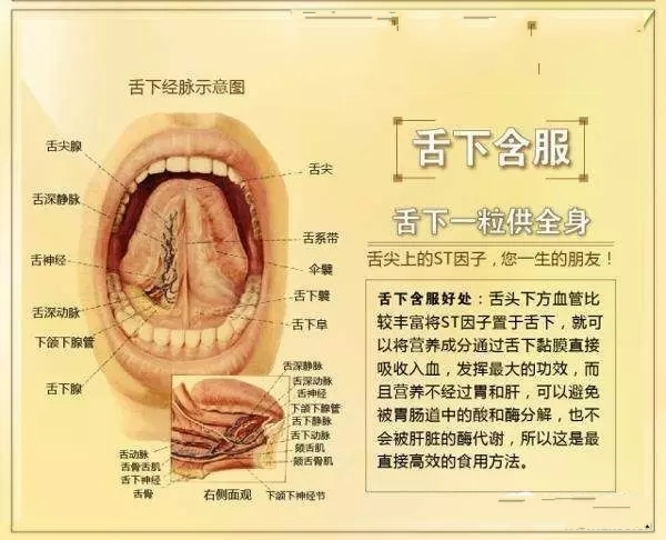 舌下含服