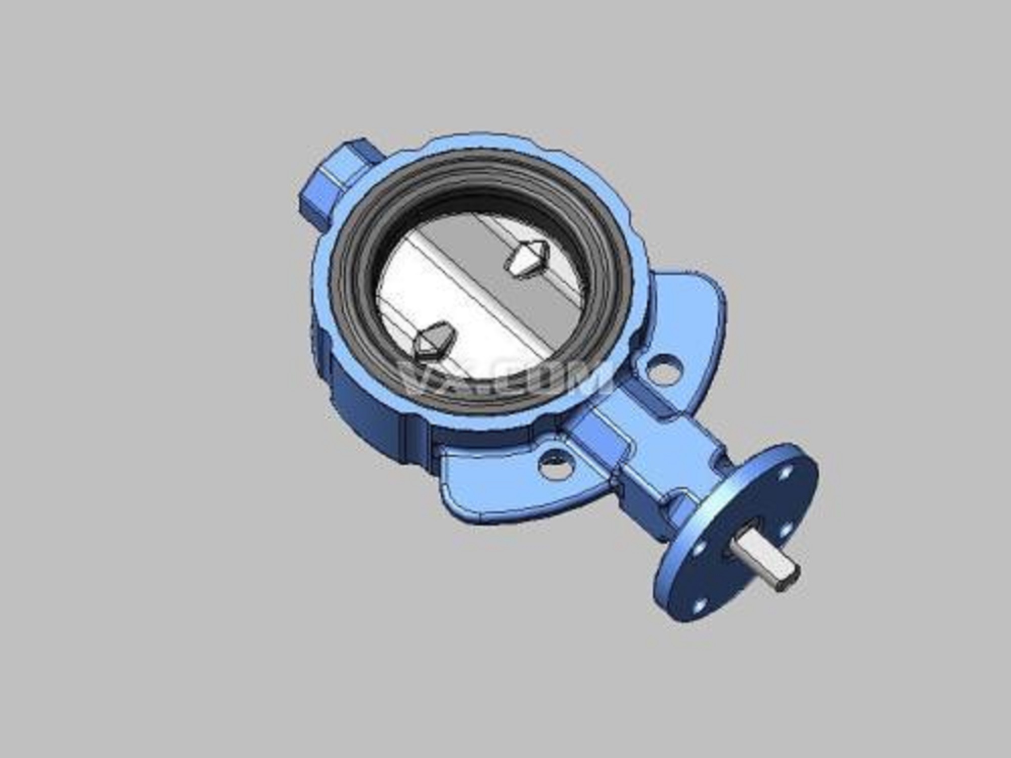butterfly valve