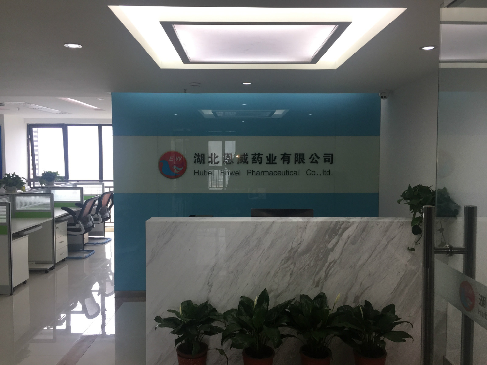 湖北恩威药业有限公司