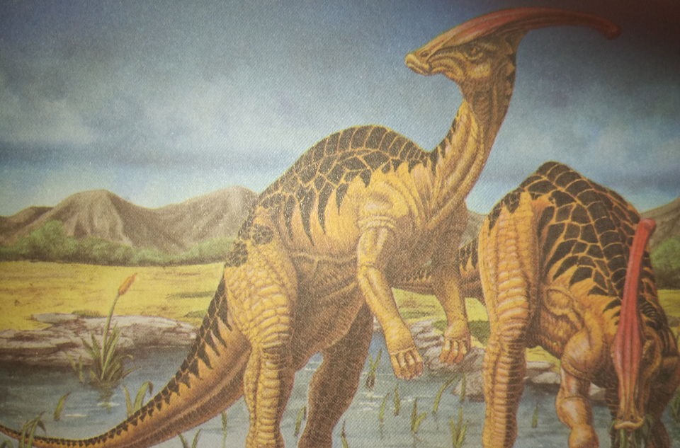  p>副栉龙(属名: i>parasaurolophus /i>),又名