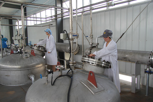 塔式梯度渗漉法萃取