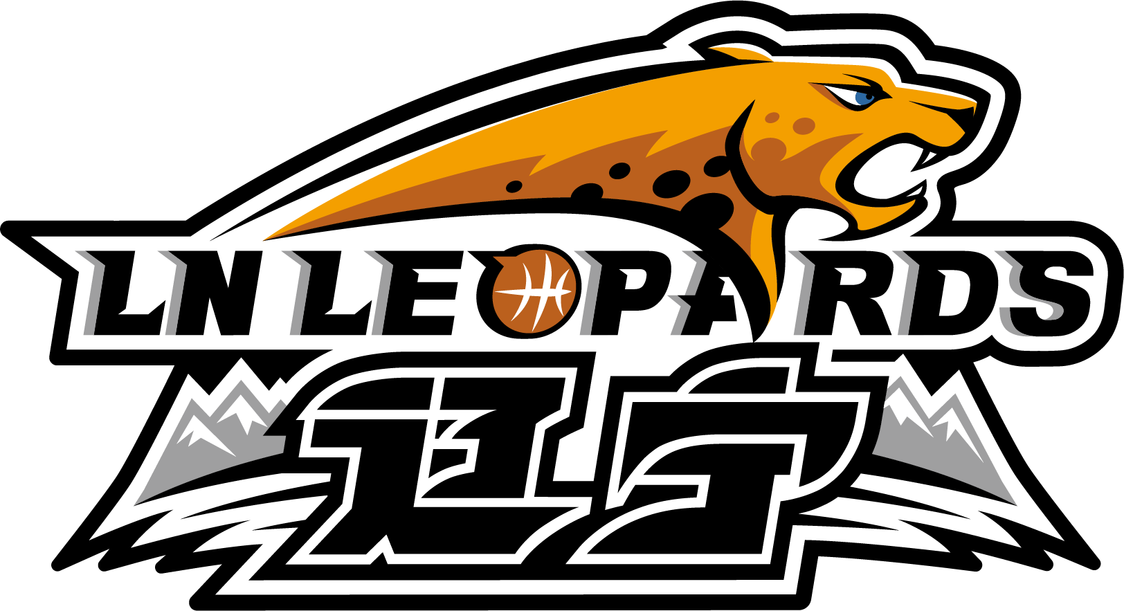 辽宁衡润飞豹篮球俱乐部