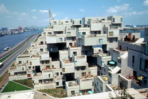 栖息地67号_百度百科