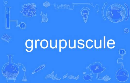 groupuscule_百度百科