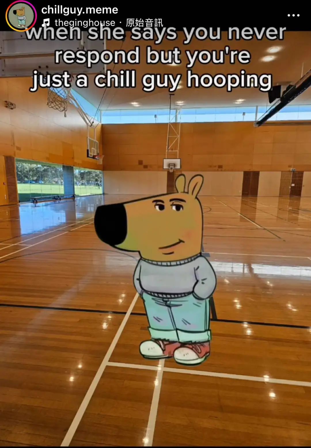 Chill guy如何成为全球精神领袖？_百科TA说