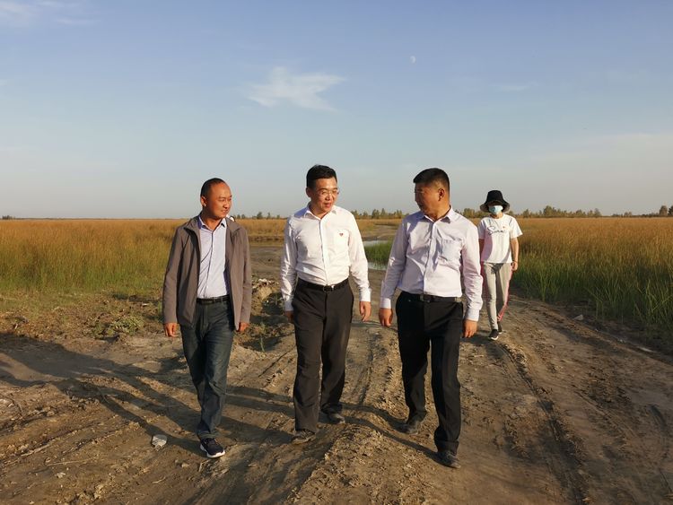  p>阿热勒乡,隶属于新疆维吾尔自治区喀什地区莎车县,地处 a target="