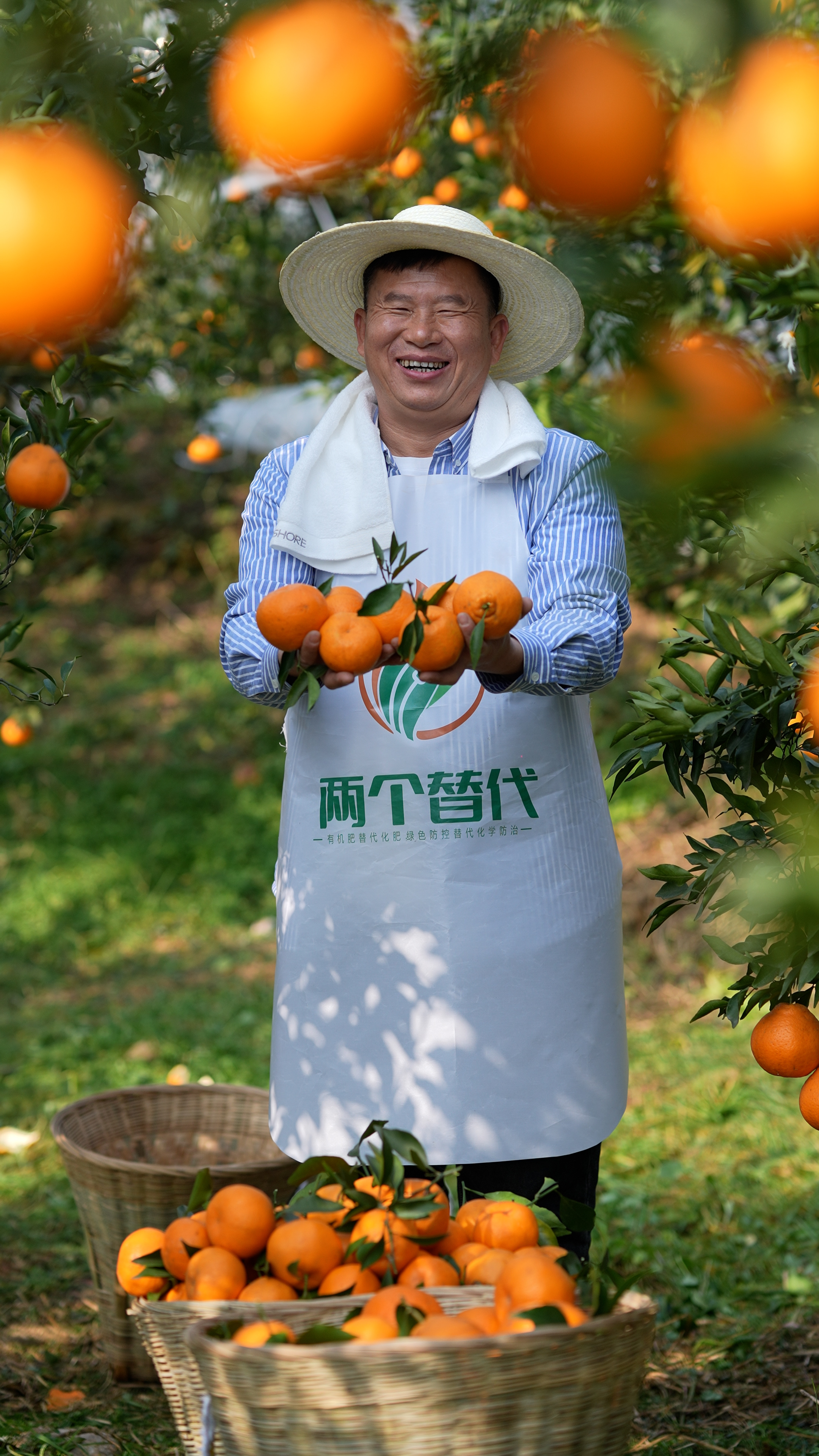 蒲江耙耙柑