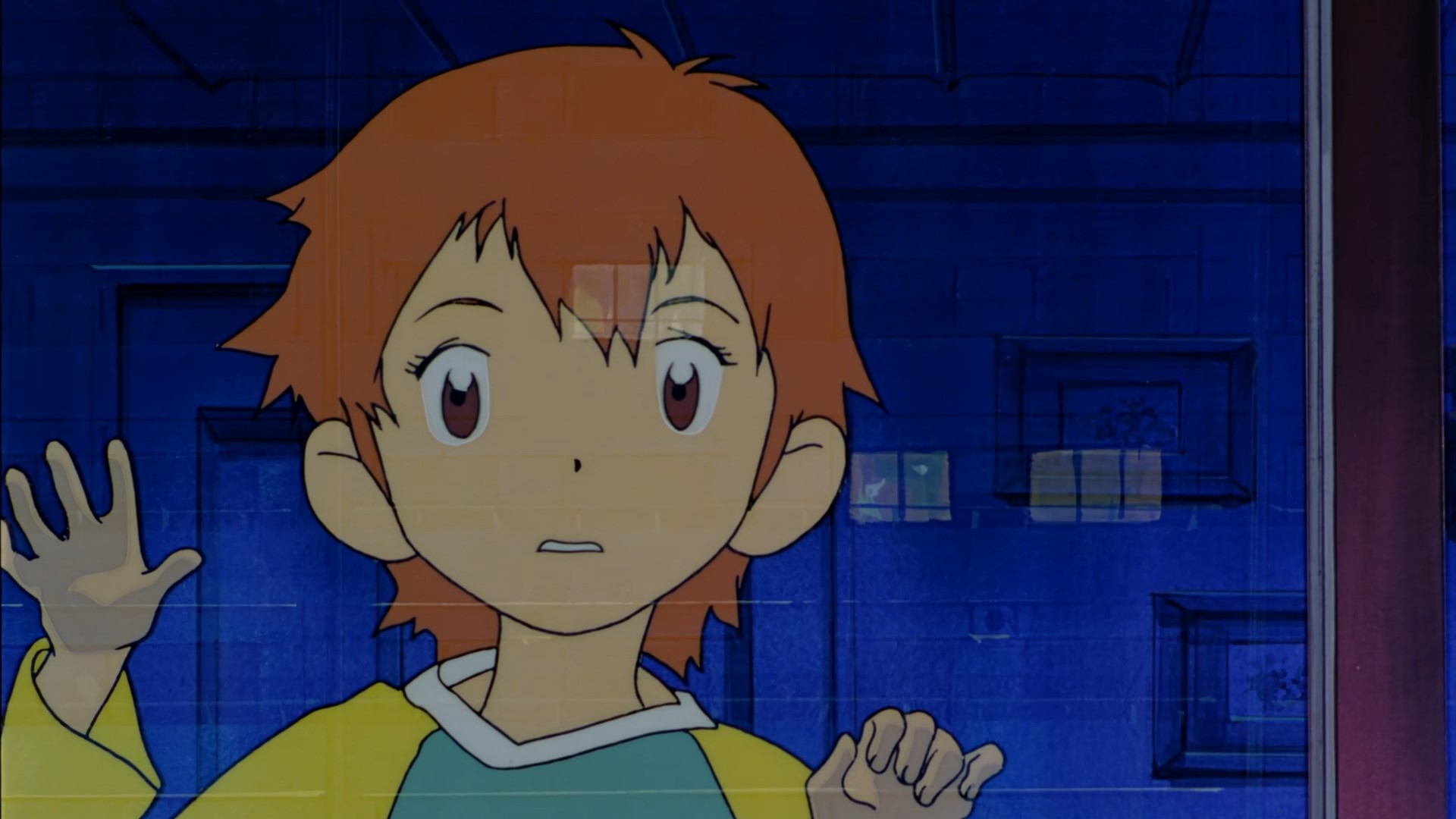 data-lemmaid="8594778">东映动画 /a>《数码兽大冒险》系列中的虚构