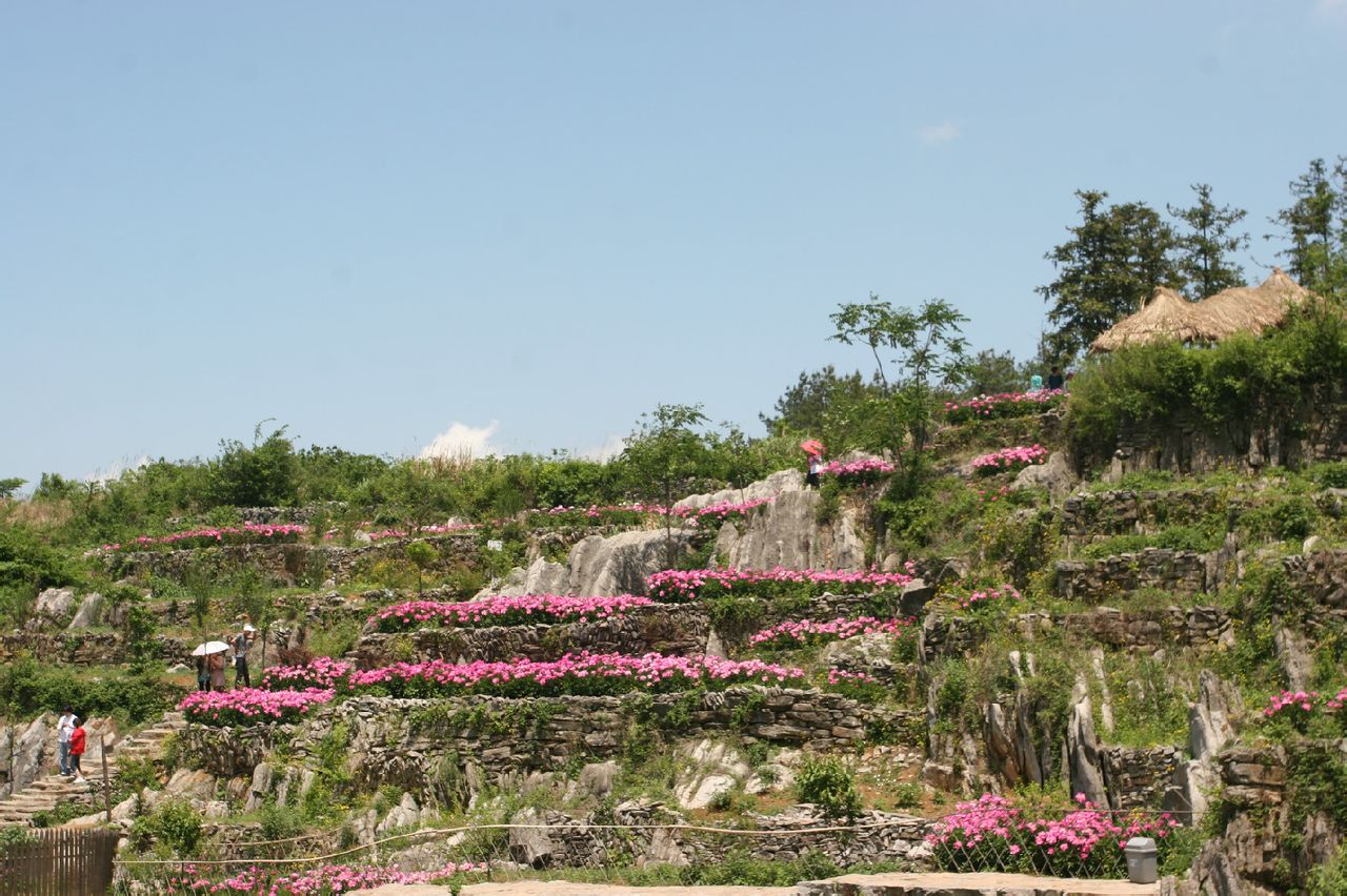  p data-id="gnwuv0yq18">芜湖丫山,安徽省芜湖市南陵县河湾镇境内的