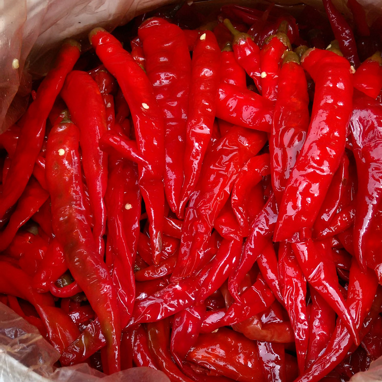 咸酸味泡美人椒