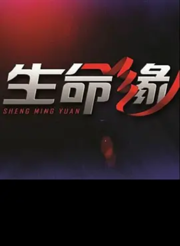 生命缘第三季