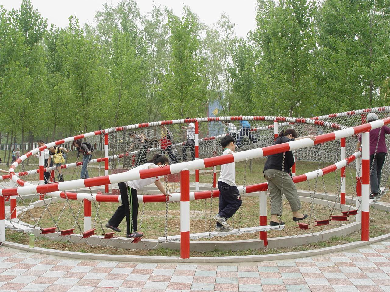 生存岛