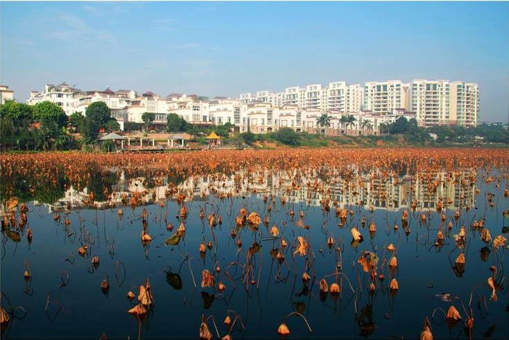 p>狮山镇位于广东省佛山市南海区中部,在东经112.51′～113.