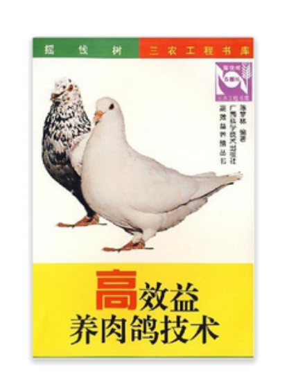 高效益养肉鸽技术