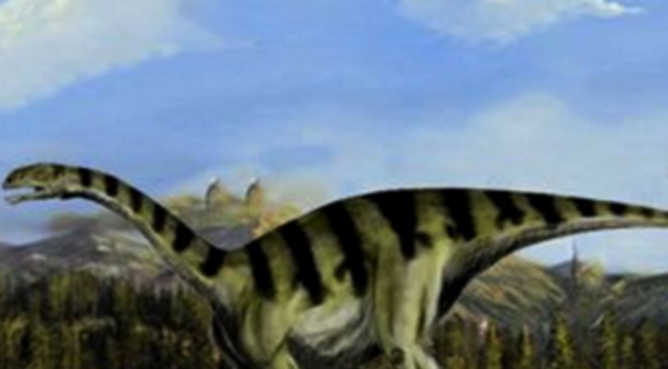 鞍龙(sellosaurus)