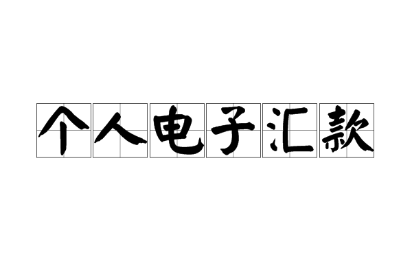 个人电汇