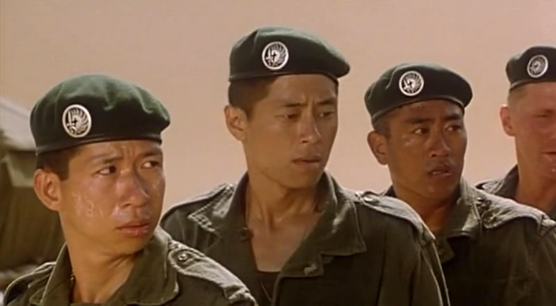 战龙在野zhanlongzaiye(1992)