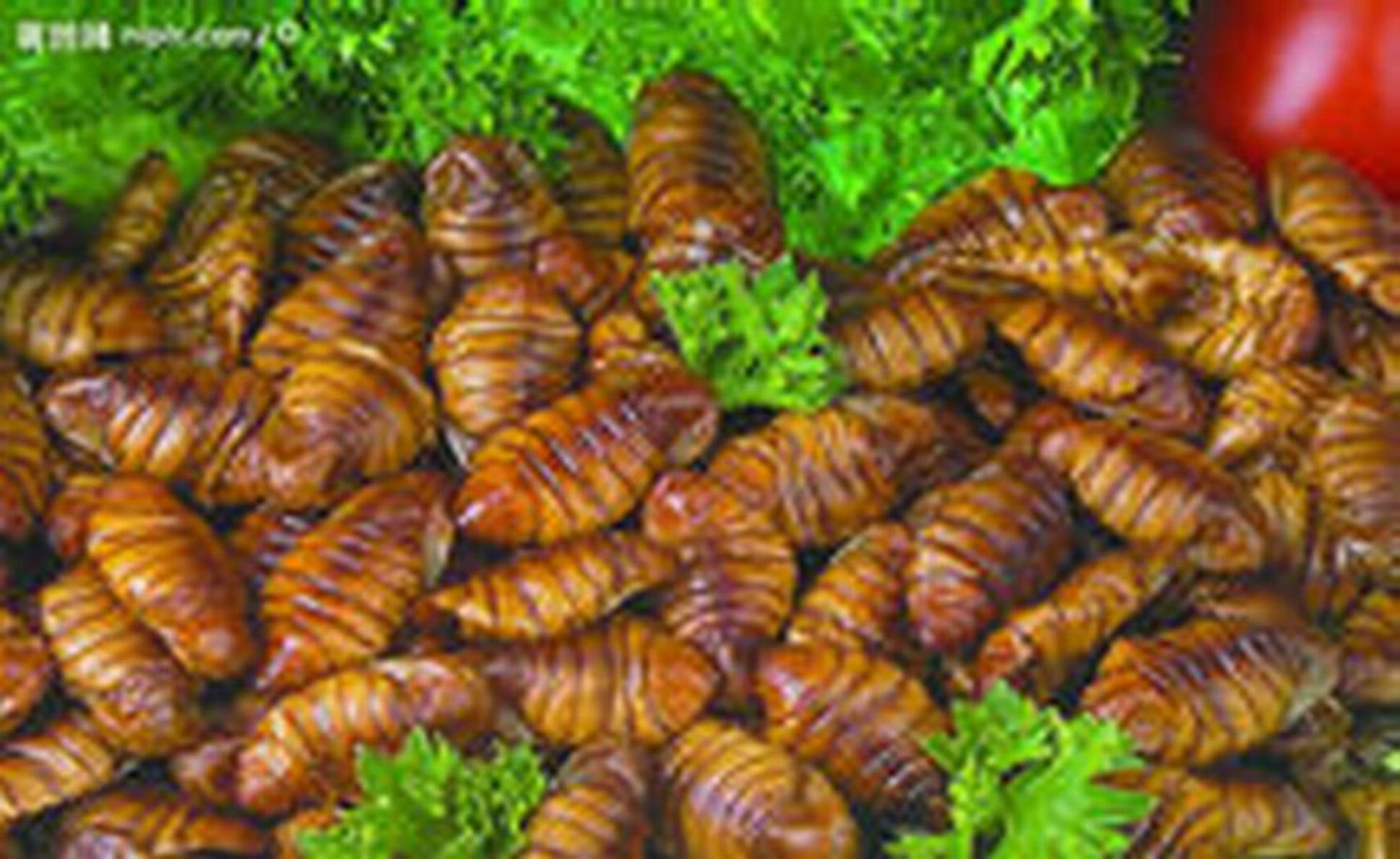  p>被蛹是 a target="_blank" href="/item/昆虫/30467" data-lemmaid