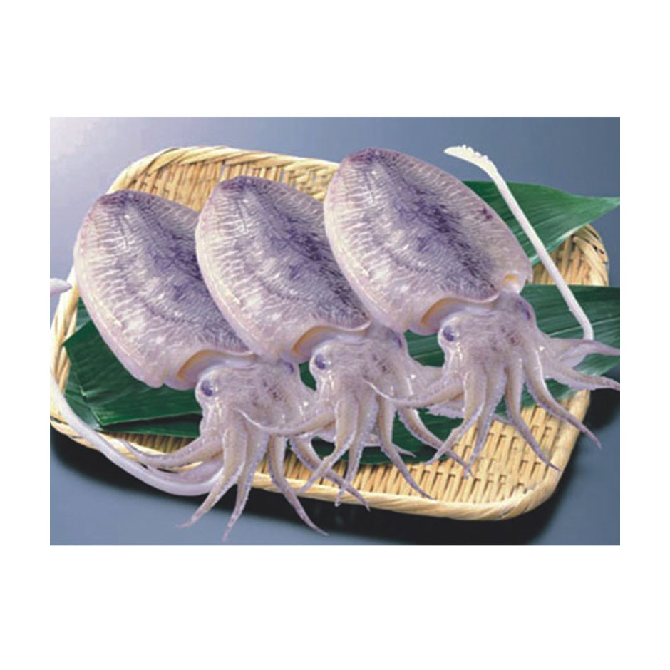  p>乌贼本名乌鲗,又称花枝, a href="#" data-lemmaid="1124307">墨斗