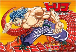  p data-id="gnrr8nssxh">阿虏(トリコ,又译特瑞科)是 a target="