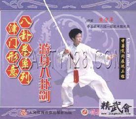 游身八卦剑_百度百科