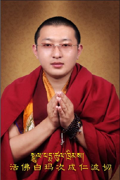 7岁的白玛次成仁波切被协庆·嘉察仁波切及诸多贤成兼备的高僧一致