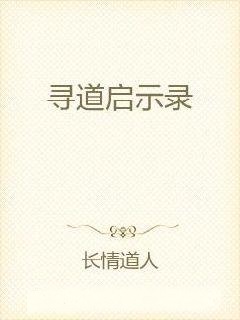寻道启示录