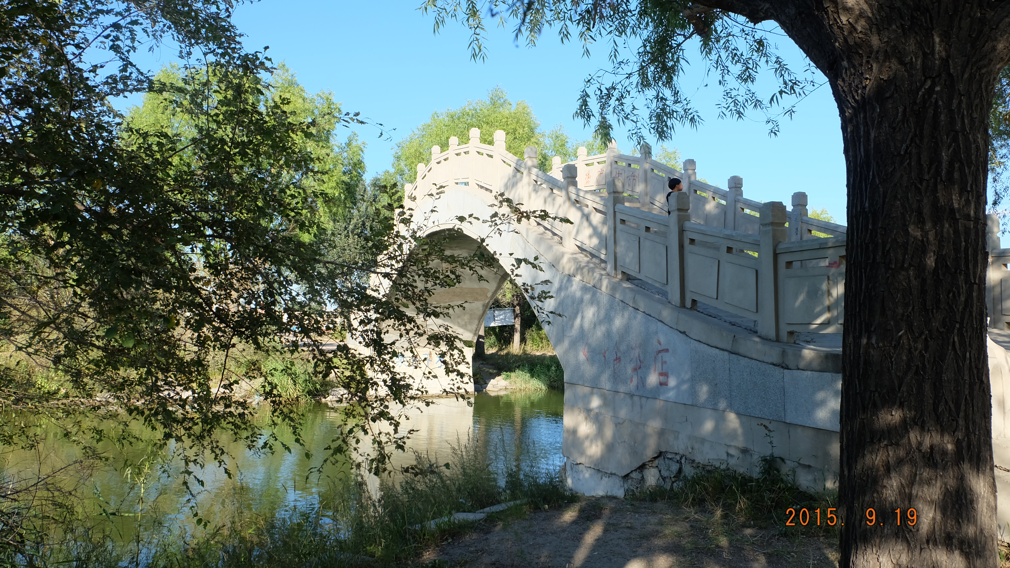 白城市森林公园