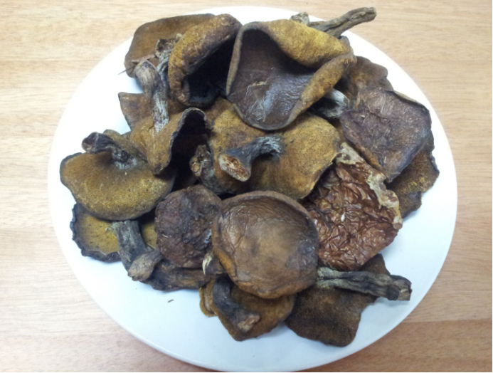 松蘑文化从饮食开始_百科TA说