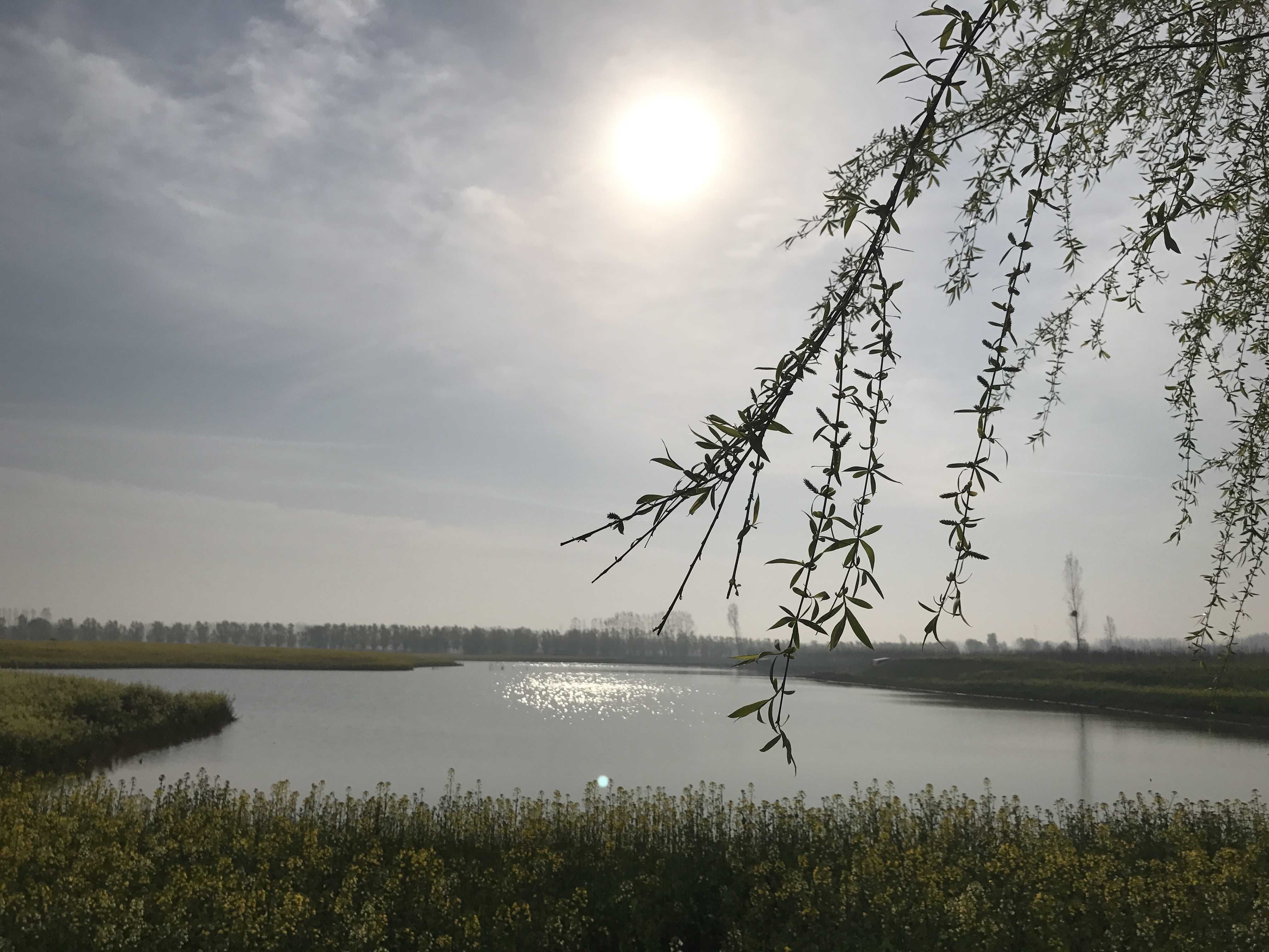 data-lemmaid="2549119">封丘县 /a>城南16公