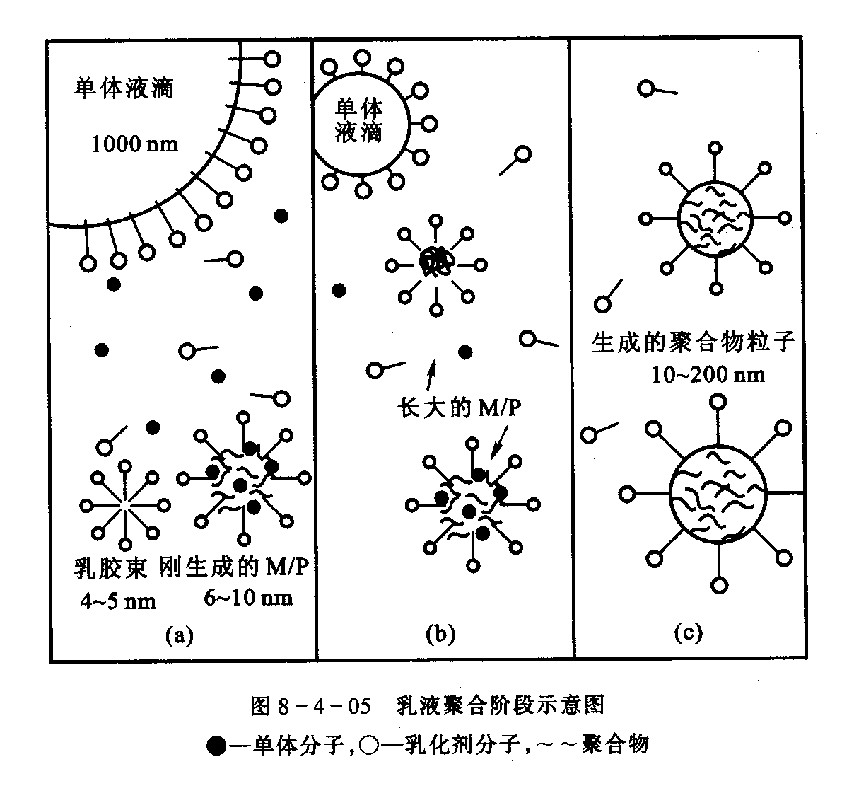  p>自由基聚合(free radical polymerization)为用自由基引发,使 a