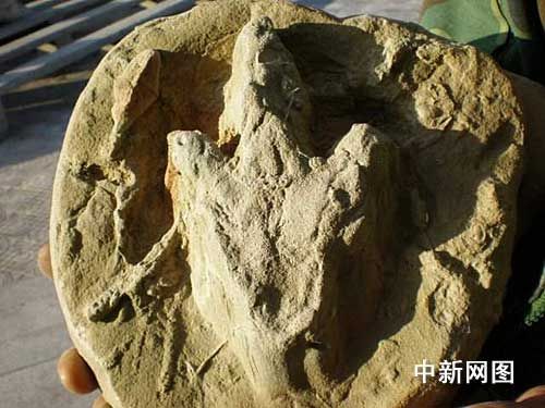  p>准噶尔盆地(英文junggar basin;"噶"为gá),位于中国 a target="