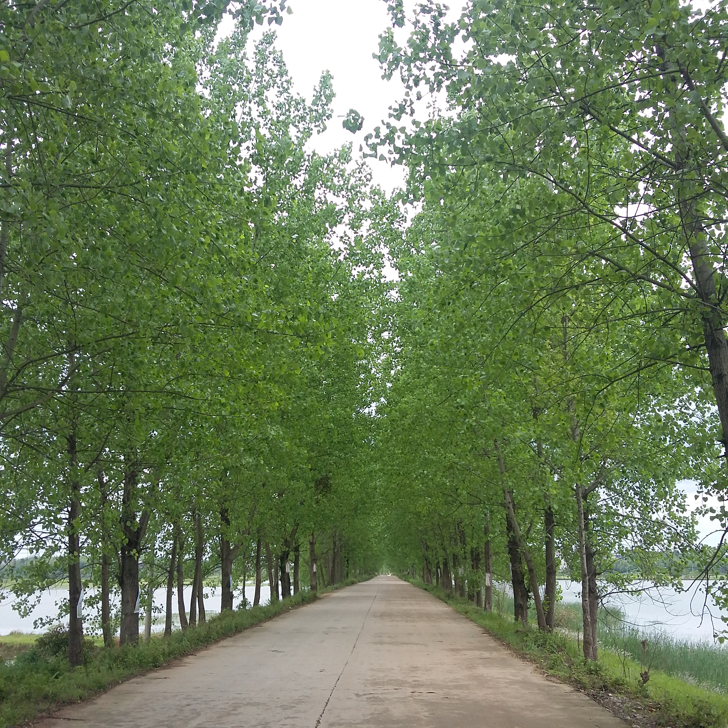  p>枫港乡是江西省上饶市 a href="#" data-lemmaid="253913">余干县 