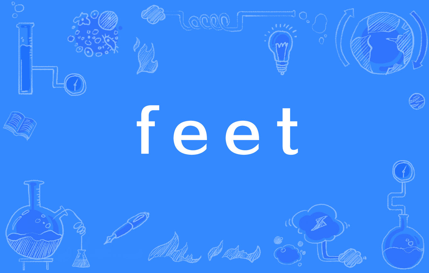 id="10876304">英语单词 /a>,主要用作为名词,用作名词译为"脚( a