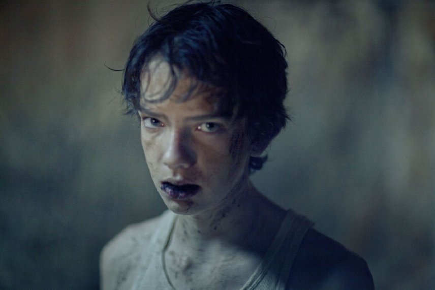  p>柯蒂·斯密特-麦菲(kodi smit-mcphee),1996年6月13日出生于