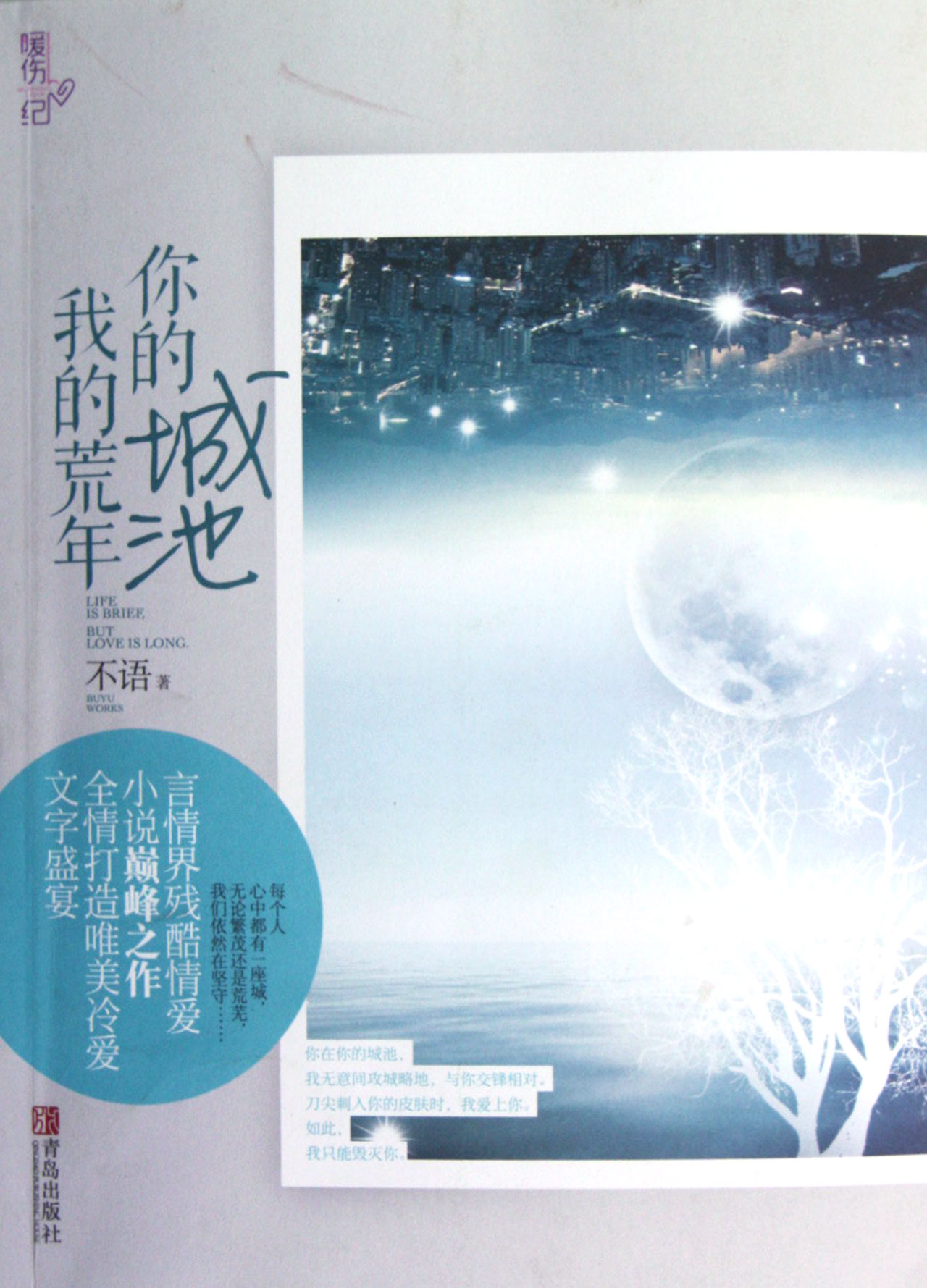 我的城池你的荒年