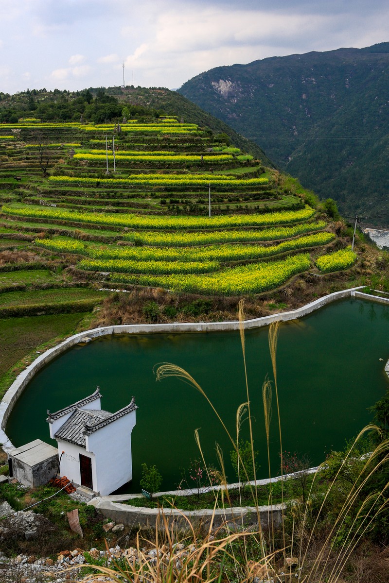 江岭梯田