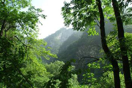 甘肃省小陇山国家级自然保护区