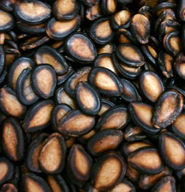 又叫瓜子儿,俗名叫 a target="_blank" href="/item/边果/7373775"