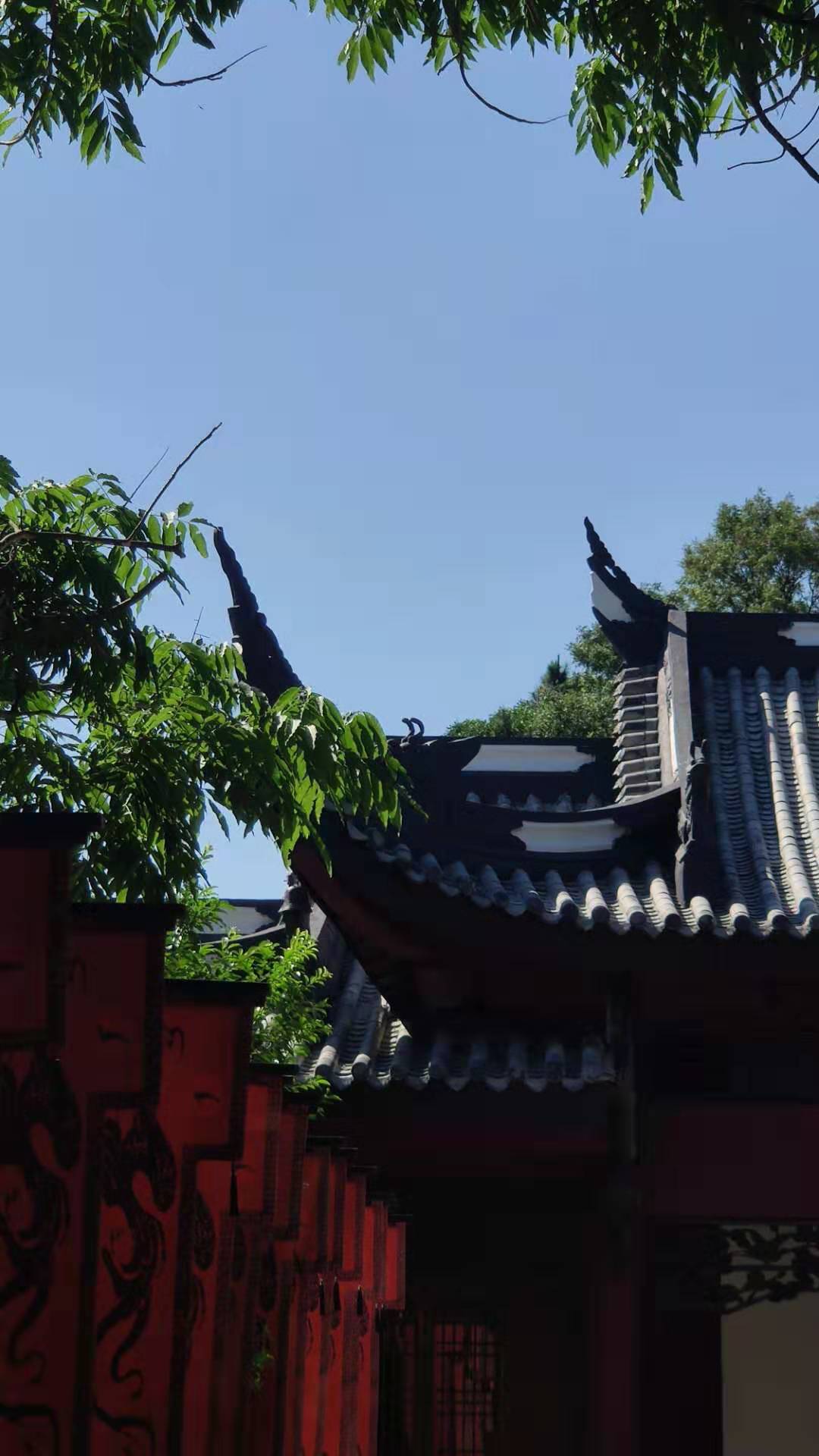  p data-id="gnwqnb233u">苍溪县云台观地处县城东南部18公里处,呈